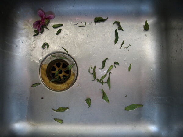 clogged kitchen sink